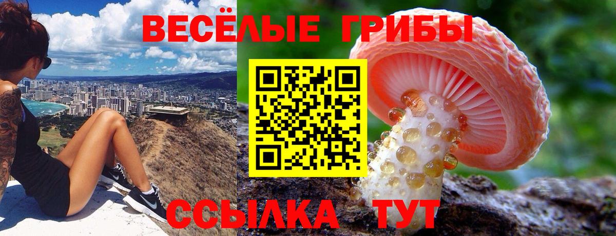дарнет шоп  Псилоцибиновые грибы Cubensis  Вход с VPN  Дербент  Псилоцибиновые грибы мухоморы 